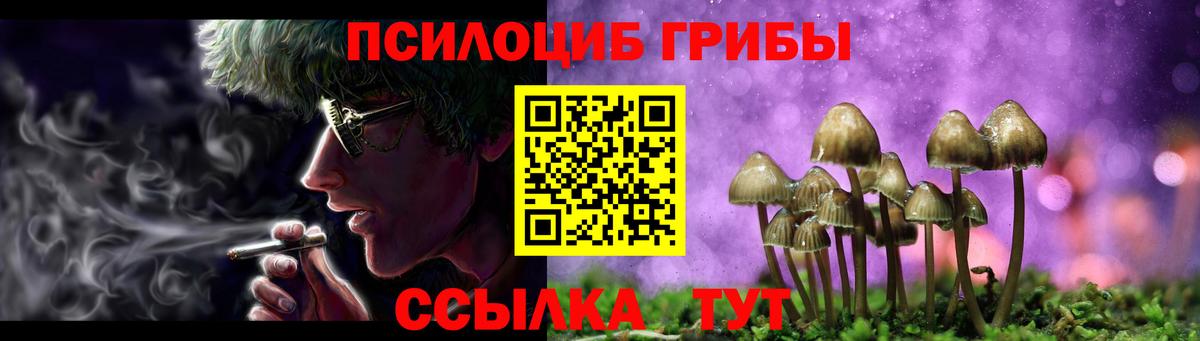 Сланцы  Галлюциногенные грибы прущие грибы  Вход с VPN 